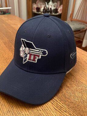 Idaho Falls Braves Pioneer League Blue BWM Global Snapback Baseball Hat Cap